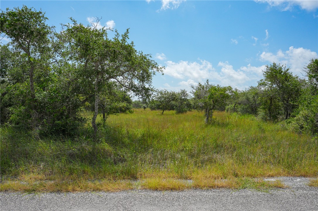 814 Holly Road Rockport, TX 78382 - Photo 2 of 10
