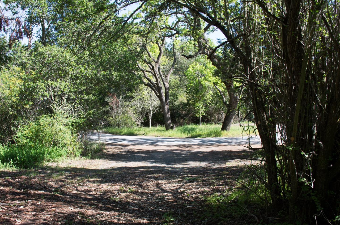2915 Woodside Road Woodside, CA 94062 - Photo 15 of 17 a view of a yard with large trees