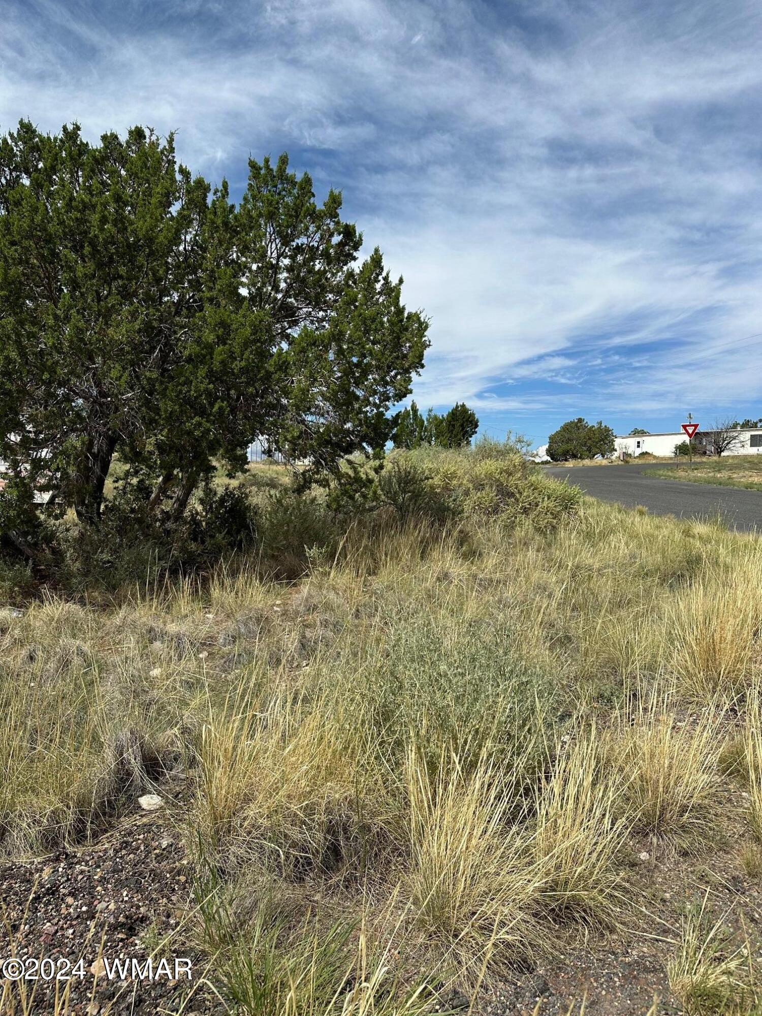 59 Frontage Road Concho, AZ 85924 - Photo 2 of 5 Paved Road