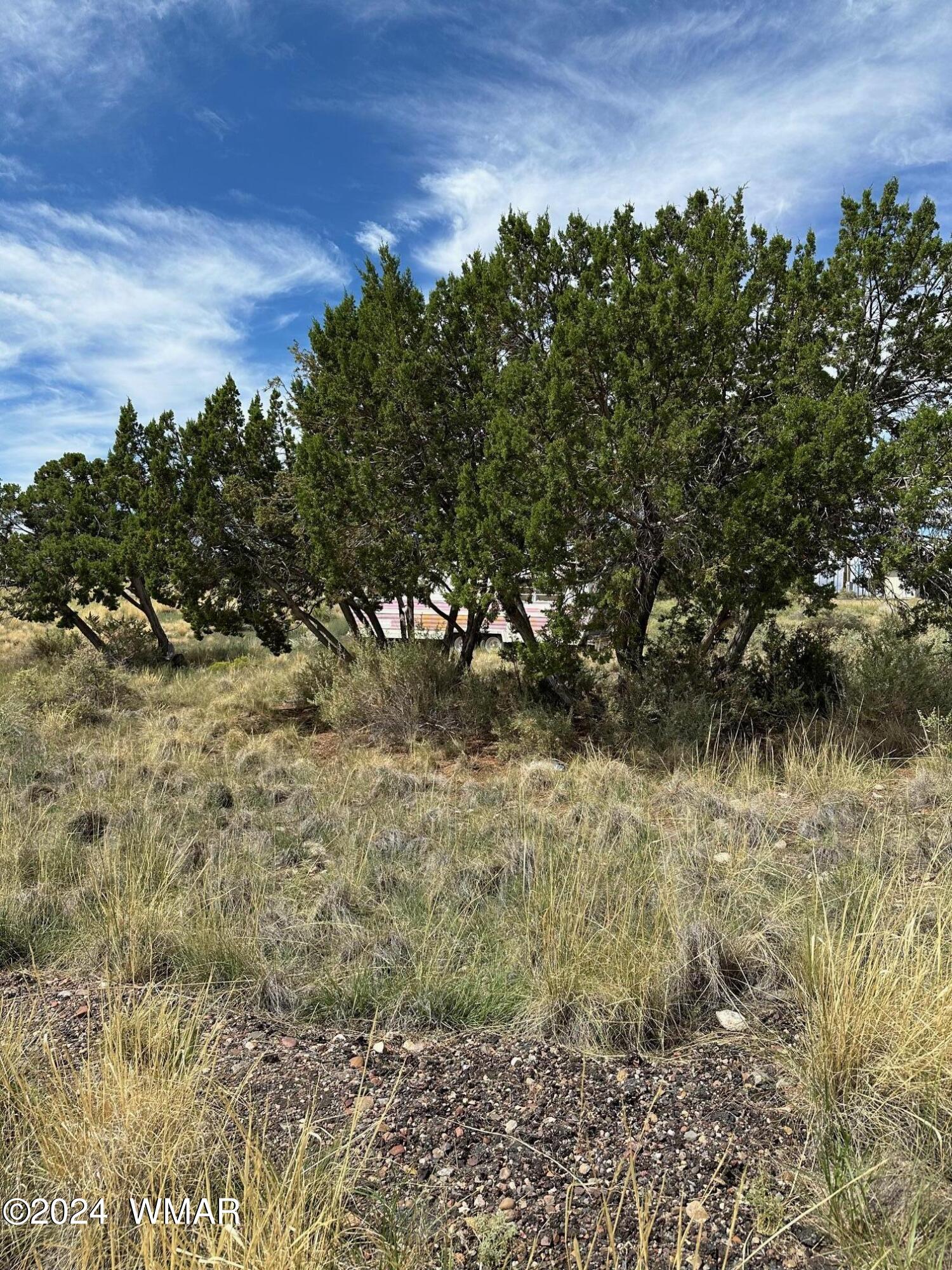 59 Frontage Road Concho, AZ 85924 - Photo 3 of 5 Juniper