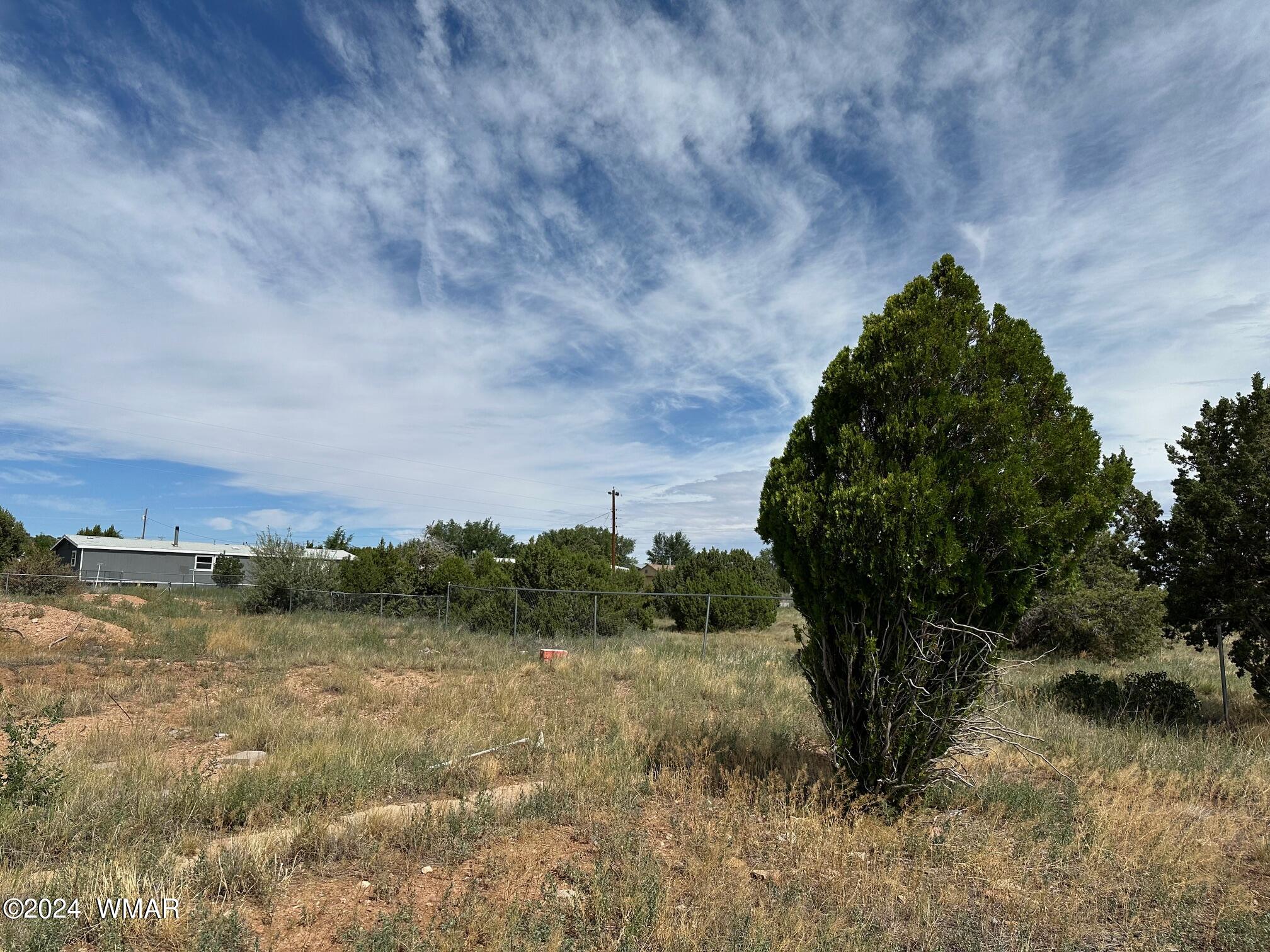 59 Frontage Road Concho, AZ 85924 - Photo 5 of 5 Level lot