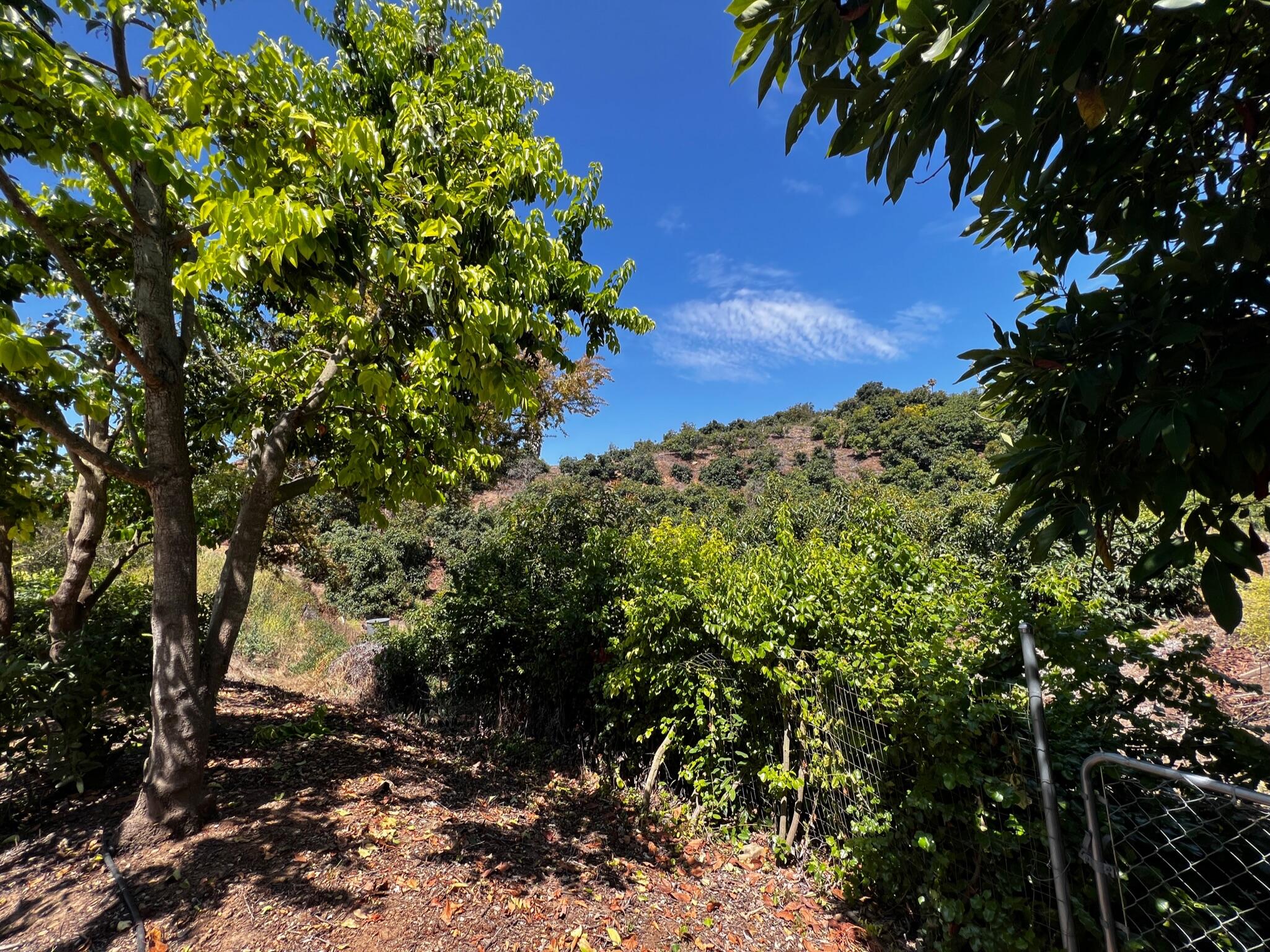 4698 Granada Way Santa Barbara, CA 93110 - Photo 7 of 34 IMG_4628