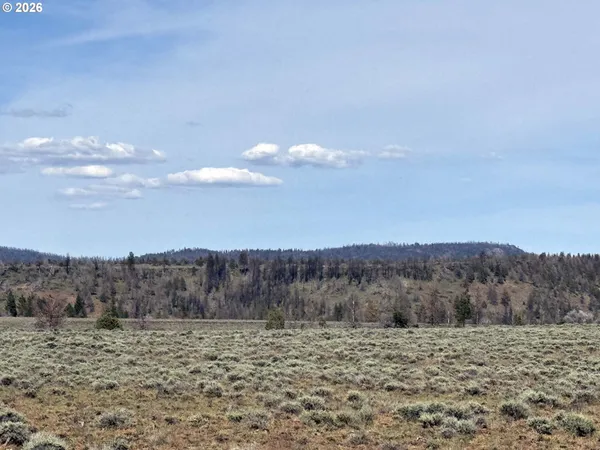 a view of a dry yard