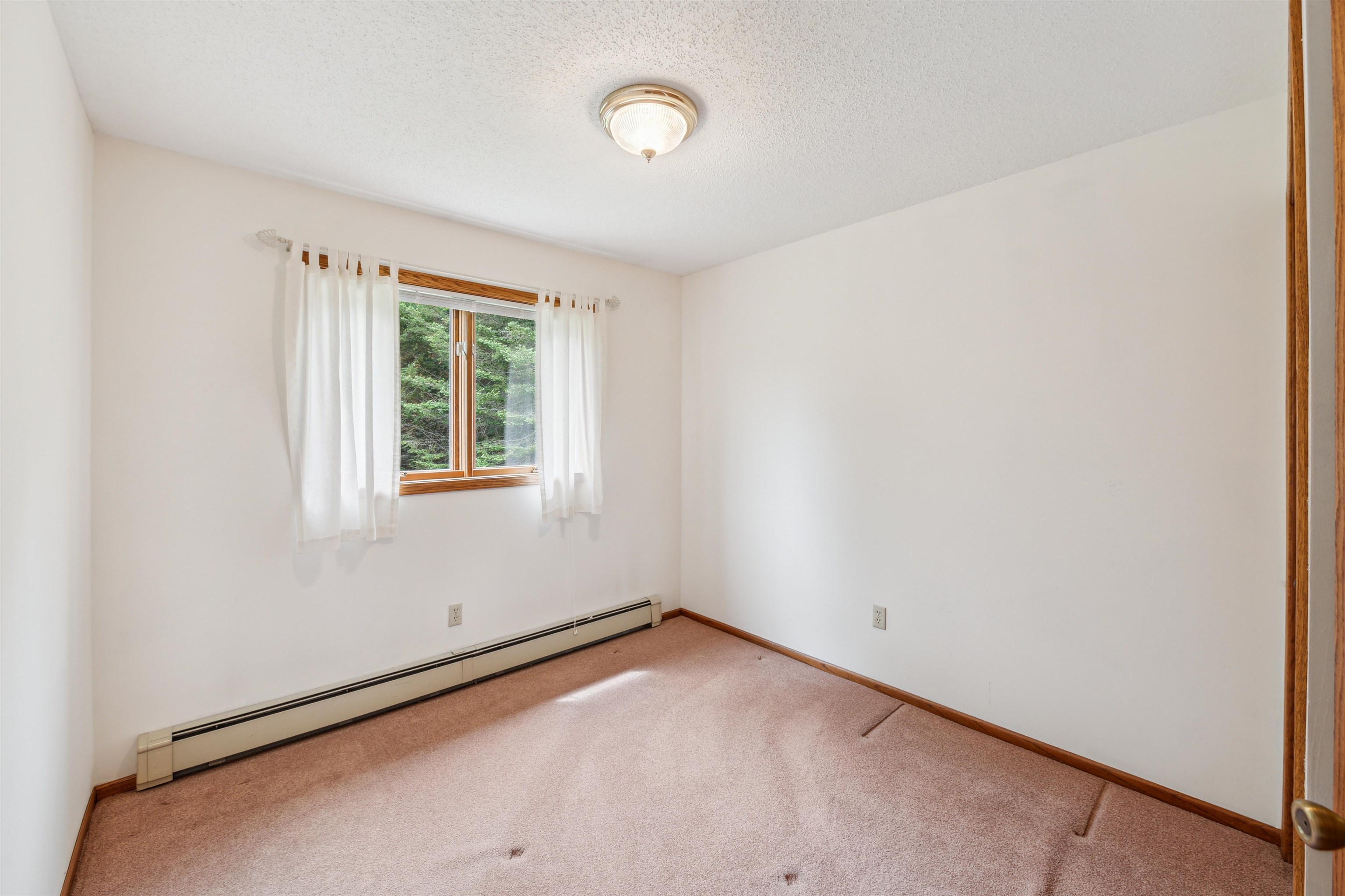 5948 Lavaque Road Duluth, MN 55803 - Photo 12 of 22 Unfurnished room with baseboard heating, light carpet, and a textured ceiling