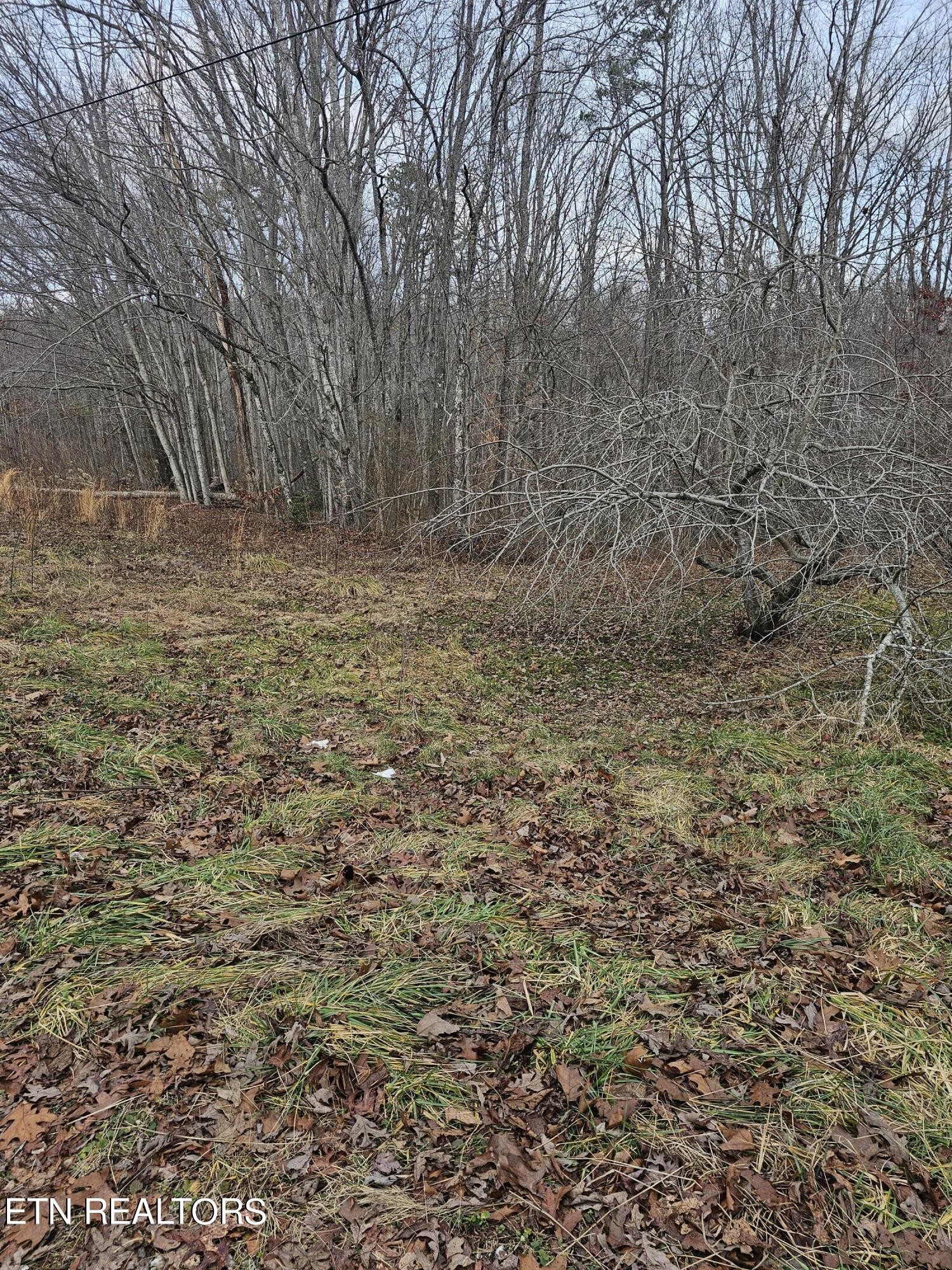 1 Obis Bowling Road Robbins, TN 37852 - Photo 2 of 6 Gallery Image 2