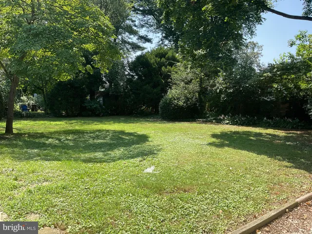 a view of a field with grass