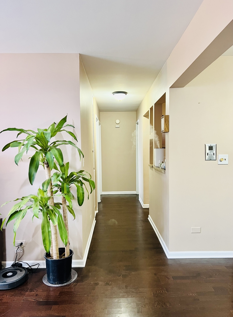 4624 North Commons Drive, Unit 307 Chicago, IL 60656 - Photo 12 of 18 a view of a hallway with wooden floor and a potted plant