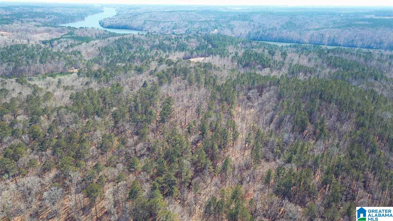 0 Sleepy Hollow Road, Unit 75 Rockford, AL 35136 - Photo 28 of 33