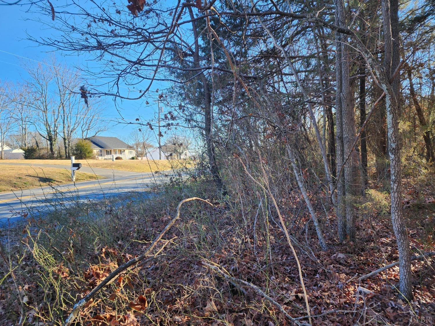 0 Greenhouse Road Rustburg, VA 24588 - Photo 1 of 2 a view of a yard with an outdoor space
