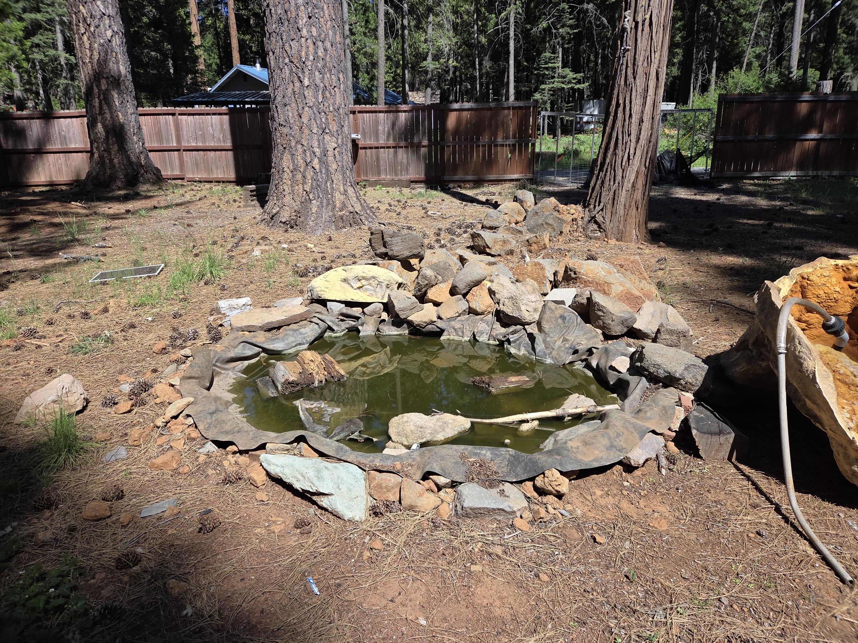 33433 Plateau Pines Road Shingletown, CA 96088 - Photo 24 of 25 GARDEN POND
