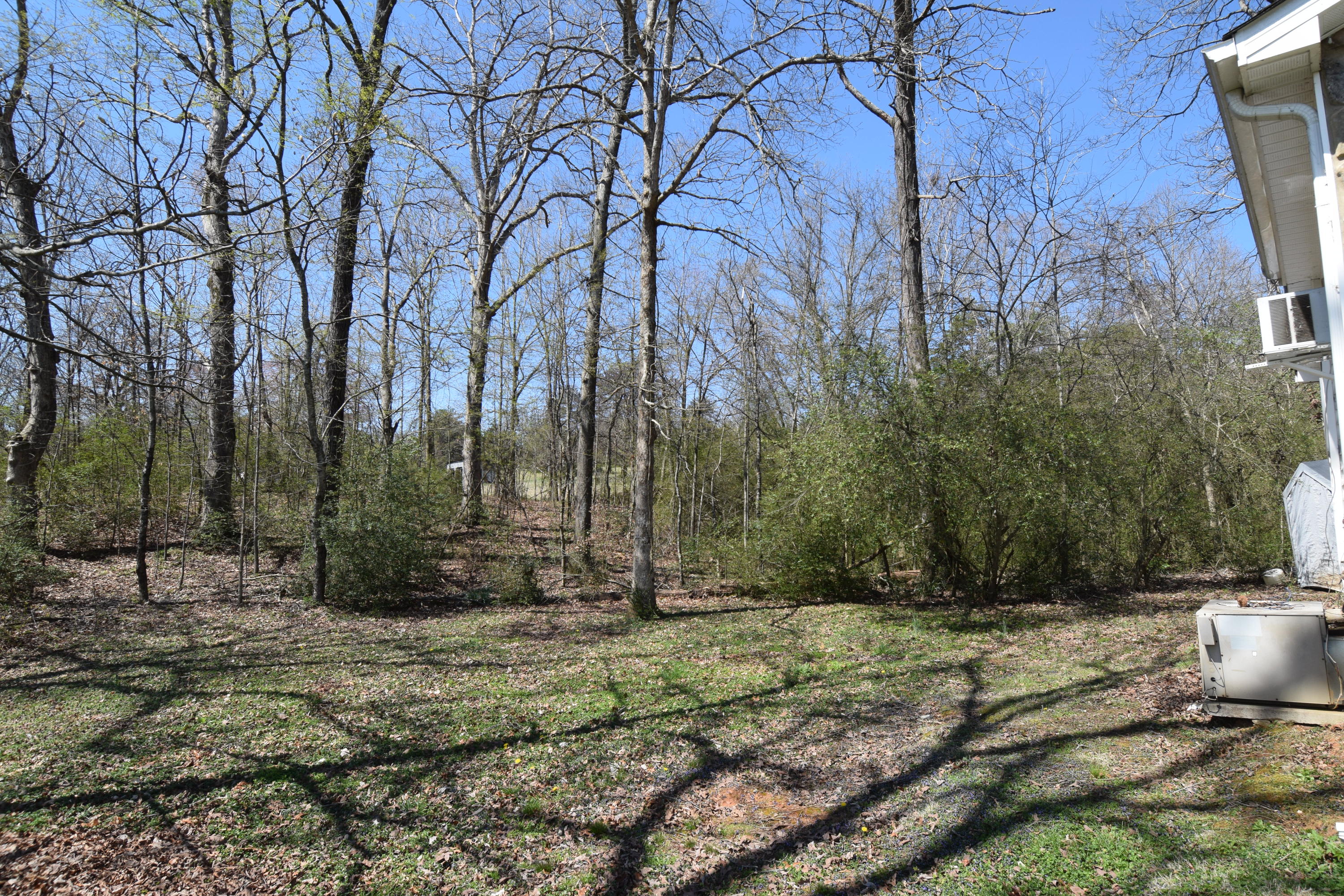 1689 Robinson Road Loudon, TN 37774 - Photo 12 of 12 DSC_0029.JPG