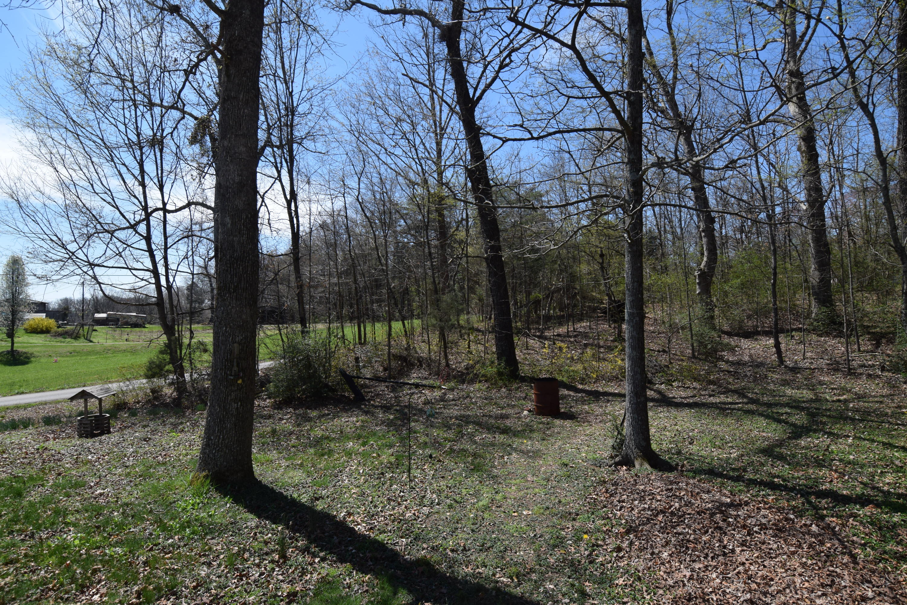 1689 Robinson Road Loudon, TN 37774 - Photo 10 of 12 DSC_0030.JPG