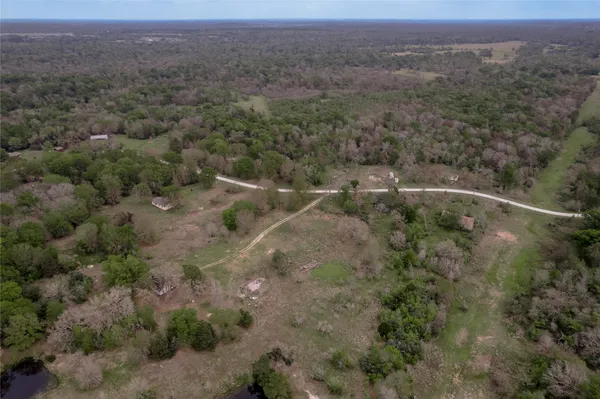 an aerial view of forest