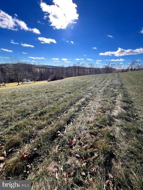 0 Lutz Road Stewartstown, PA 17363 - Photo 2 of 8 a view of an outdoor space and a yard