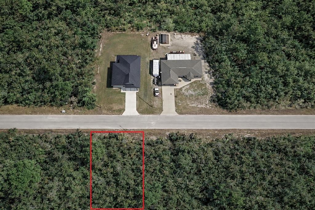 Fisher Loop Pass Ocklawaha, FL 32179 - Photo 2 of 4 a view of a house with a yard and large trees