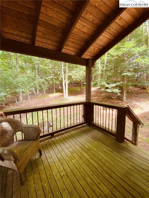 135 Staghorn Hollow Beech Mountain, NC 28604 - Photo 12 of 15