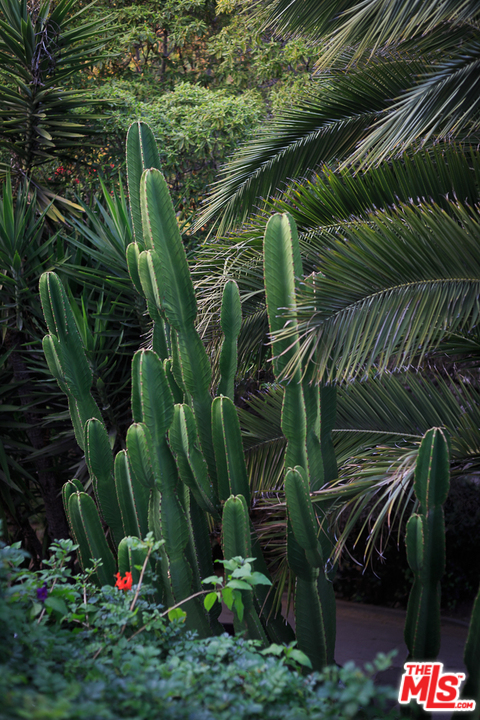 6764 Milner Road Los Angeles, CA 90068 - Photo 21 of 25 Gallery Image 21