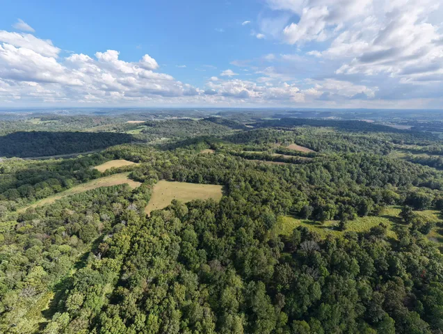 a view of a city with lush green forest