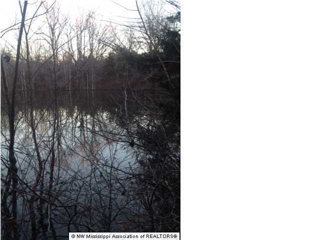 998 Briscoe Road Holly Springs, MS 38635 - Photo 1 of 11 Primary Photo