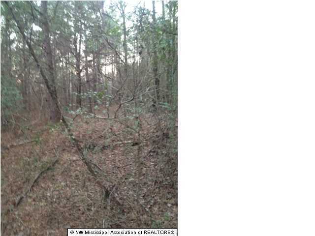 998 Briscoe Road Holly Springs, MS 38635 - Photo 2 of 11 Additional Photo