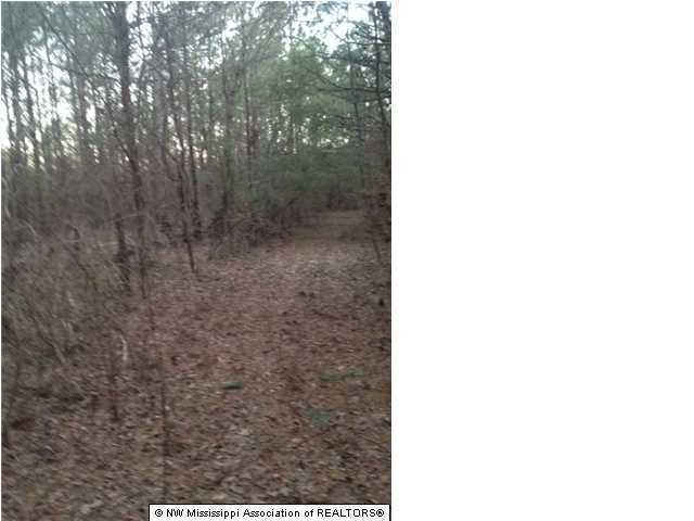 998 Briscoe Road Holly Springs, MS 38635 - Photo 4 of 11 Additional Photo