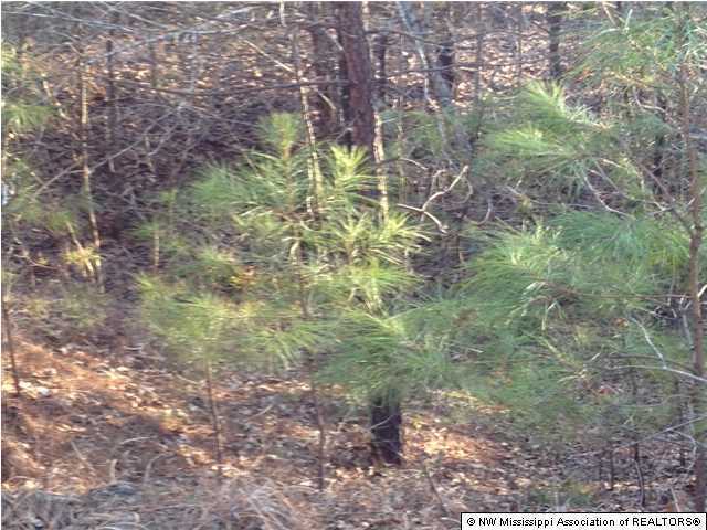 998 Briscoe Road Holly Springs, MS 38635 - Photo 10 of 11 Additional Photo