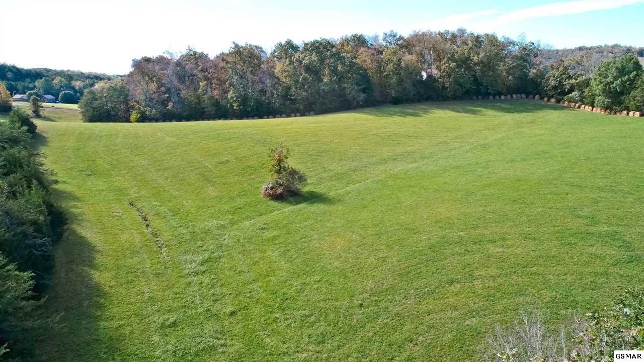 848 Joe Reed Road Bybee, TN 37713 - Photo 18 of 20 Gallery Image 18