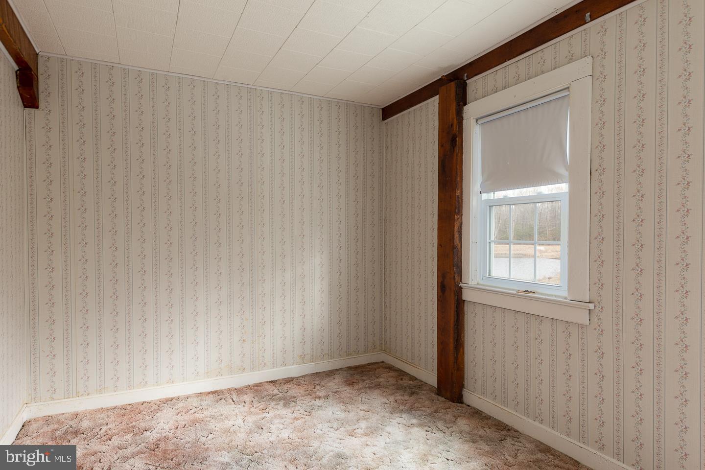 304 Maskells Mill Road Salem, NJ 08079 - Photo 20 of 23