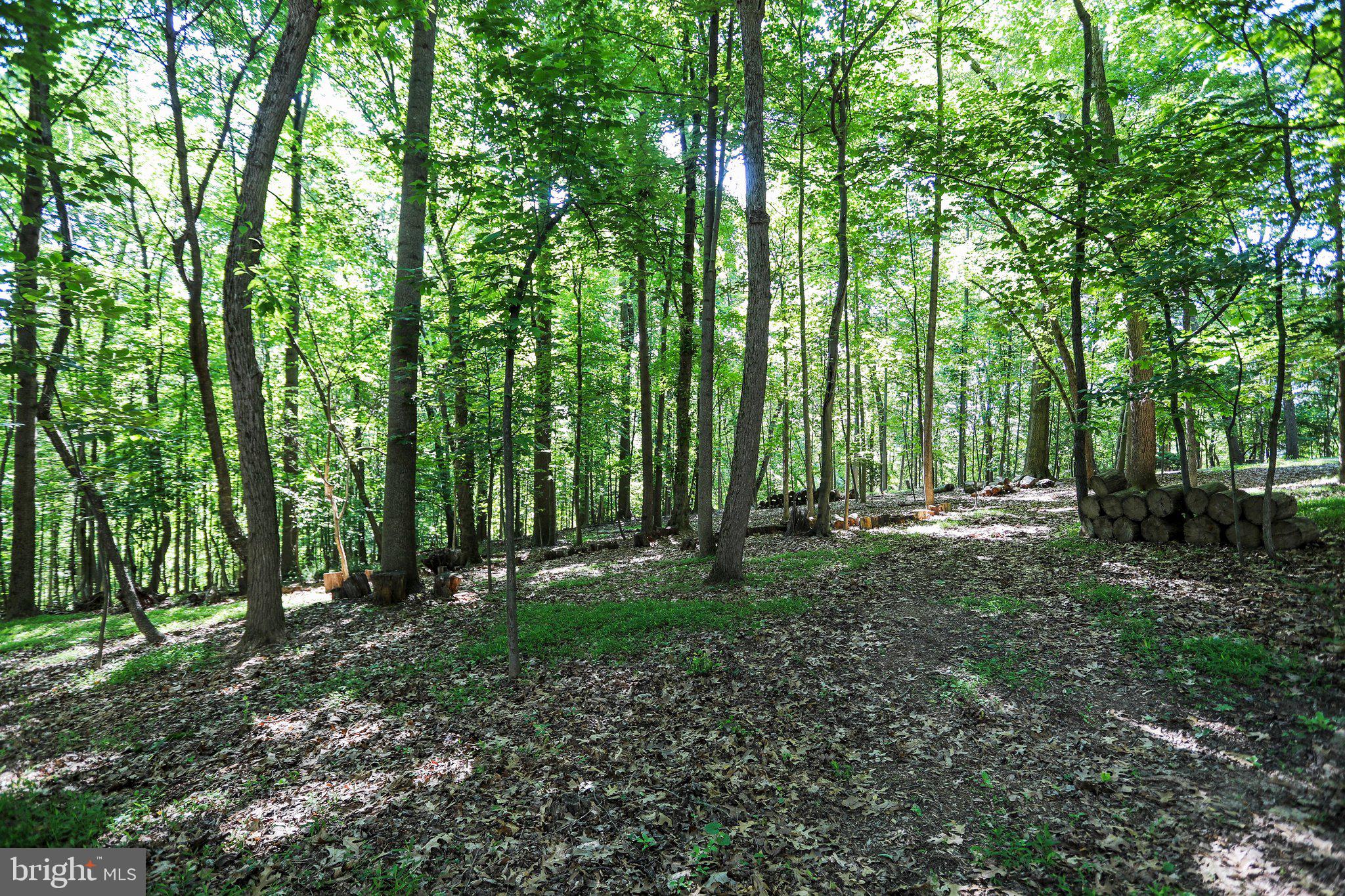 12260 Weller Road Monrovia, MD 21770 - Photo 61 of 76