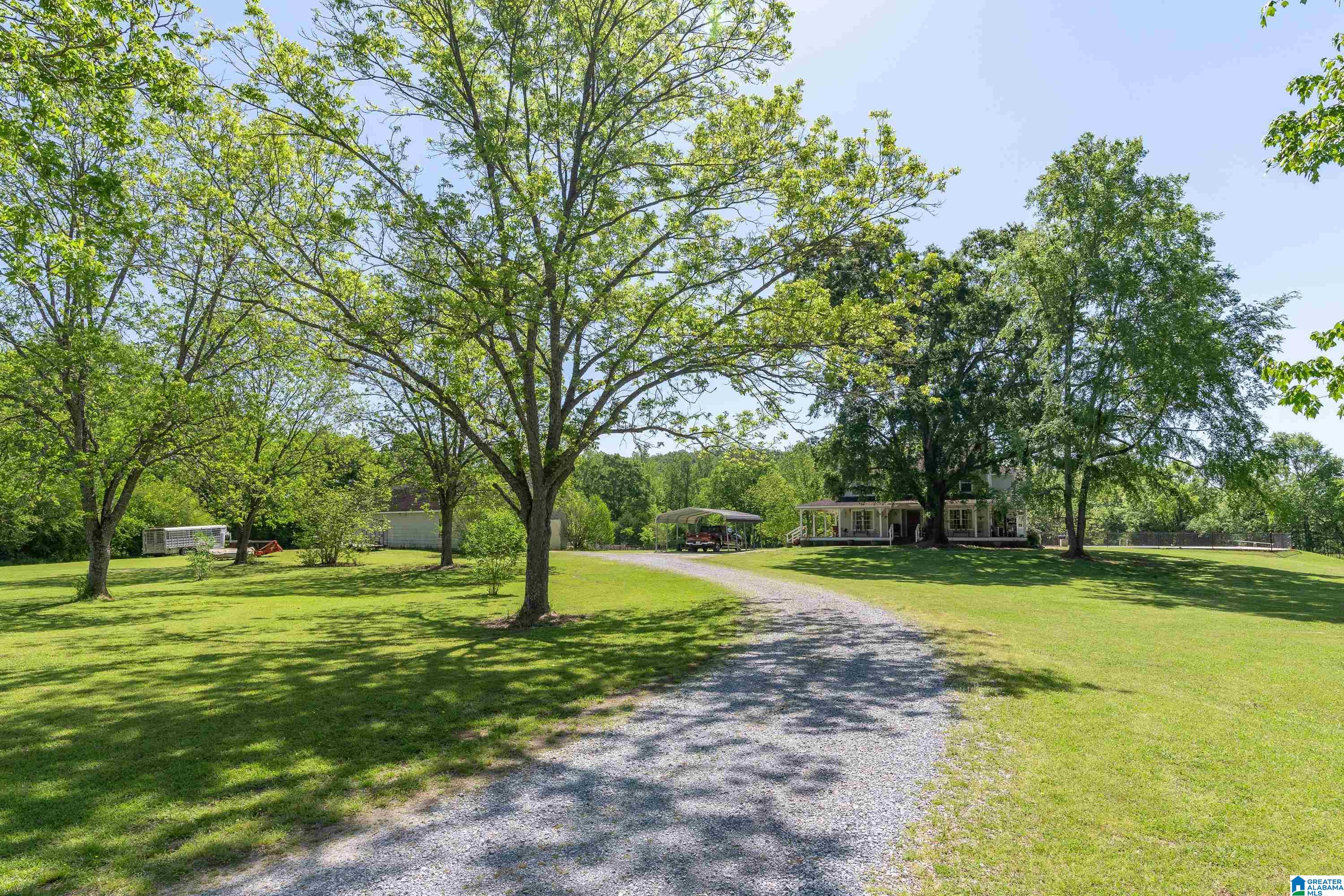 4493 Odens Mill Road Sylacauga, AL 35151 - Photo 42 of 62