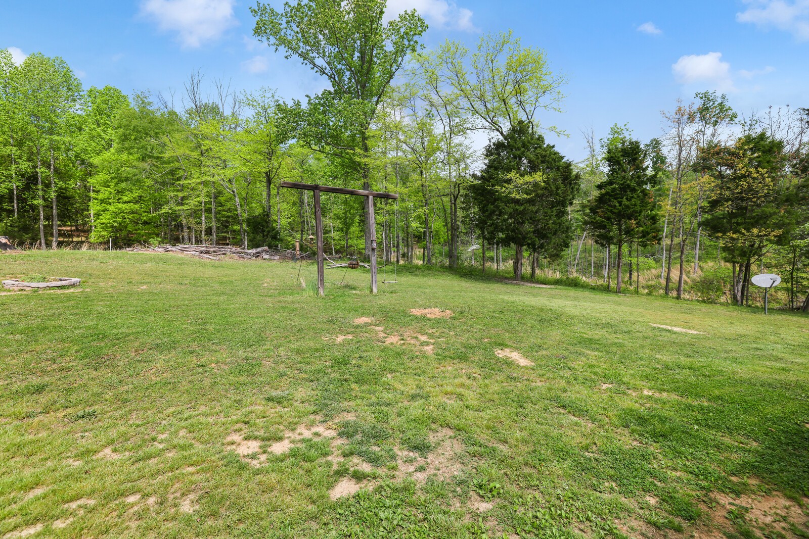 285 Heggie Road Erin, TN 37061 - Photo 48 of 50 a view of a tree in a yard
