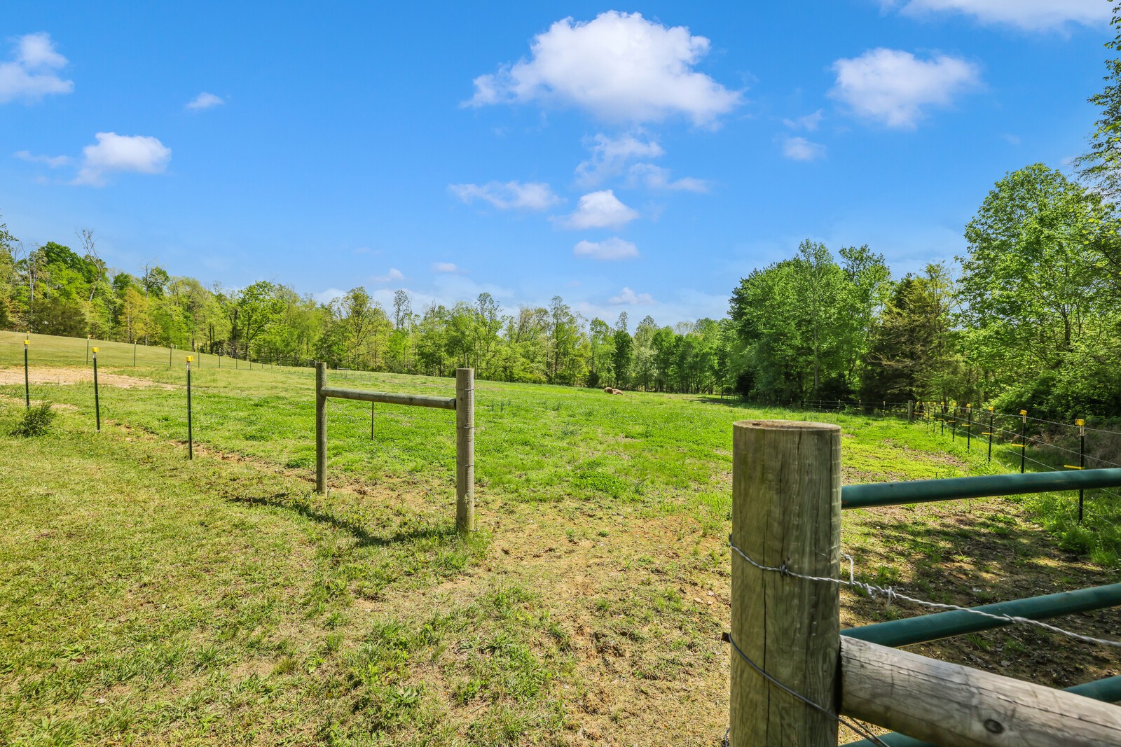 285 Heggie Road Erin, TN 37061 - Photo 49 of 50 a view of a park with large trees