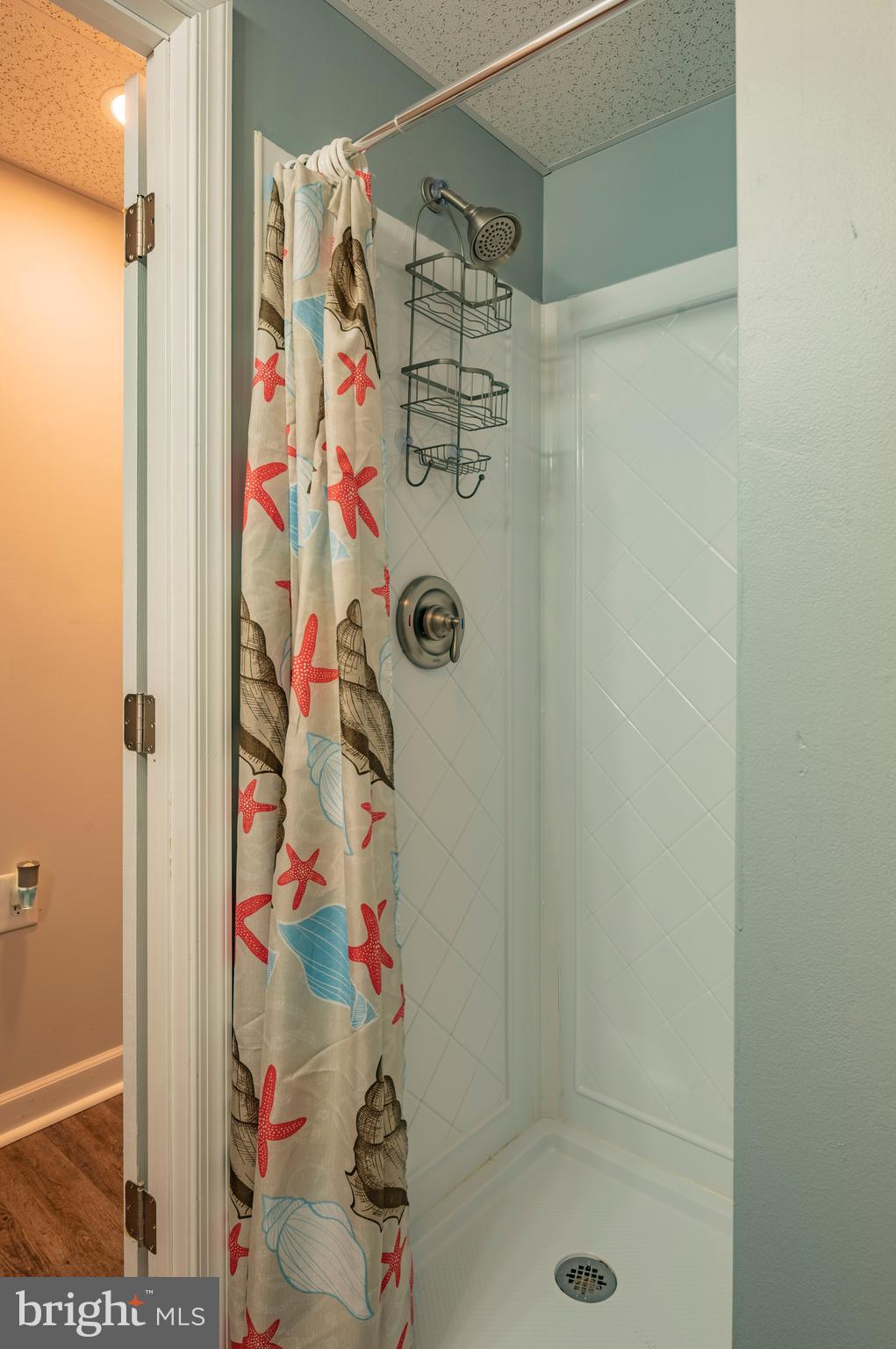 24670 Morgan Road Hollywood, MD 20636 - Photo 15 of 65 Downstairs Shower