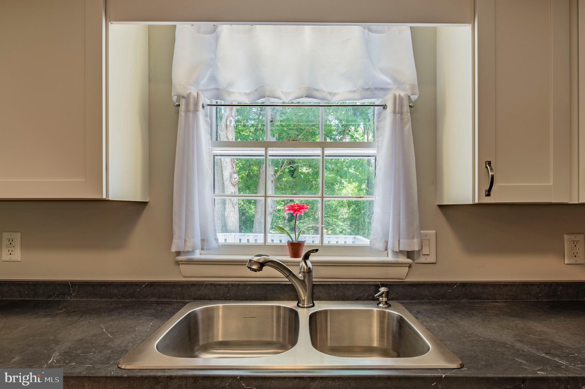 24670 Morgan Road Hollywood, MD 20636 - Photo 33 of 65 Double Sink. Window to Backyard.