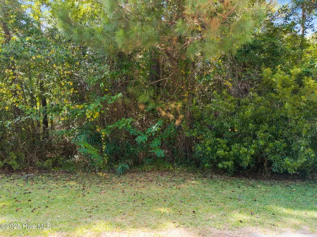 $27,000 | 2445 Driftwood Acres Drive Southwest, Supply, NC 28462