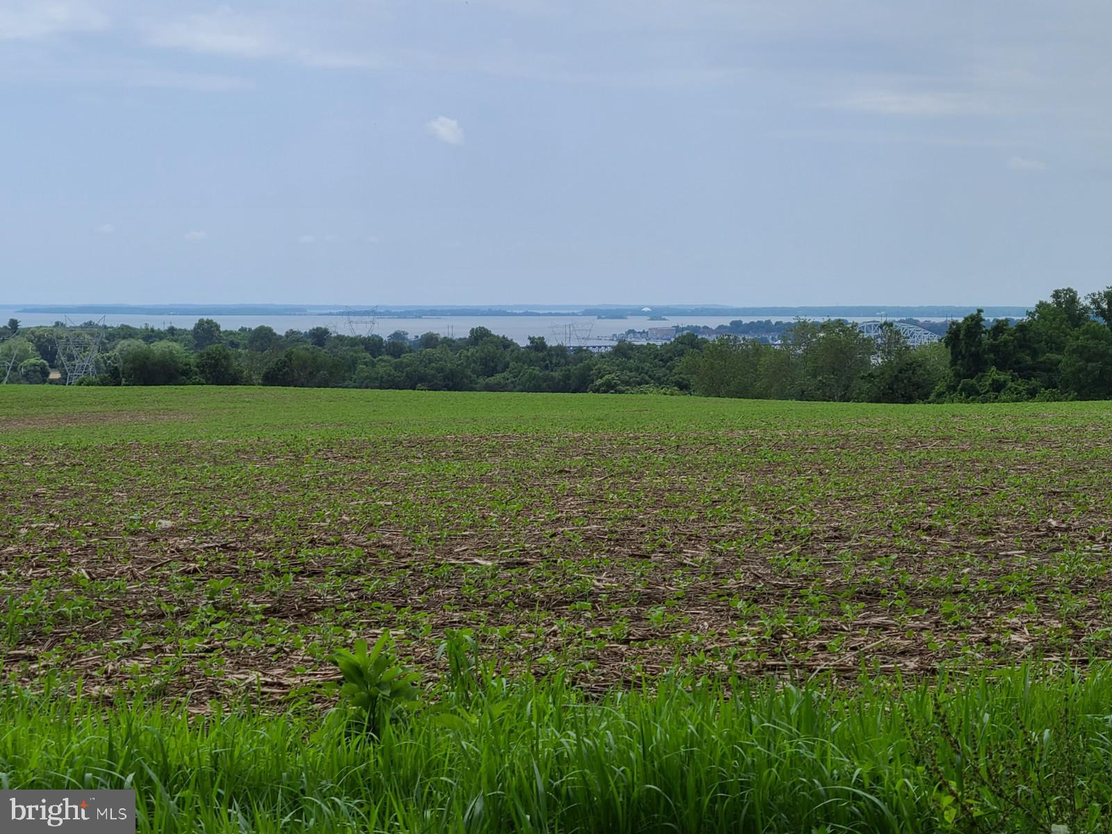 St Marks Church Road Perryville, MD 21903 - Photo 1 of 6 View from lot for sale