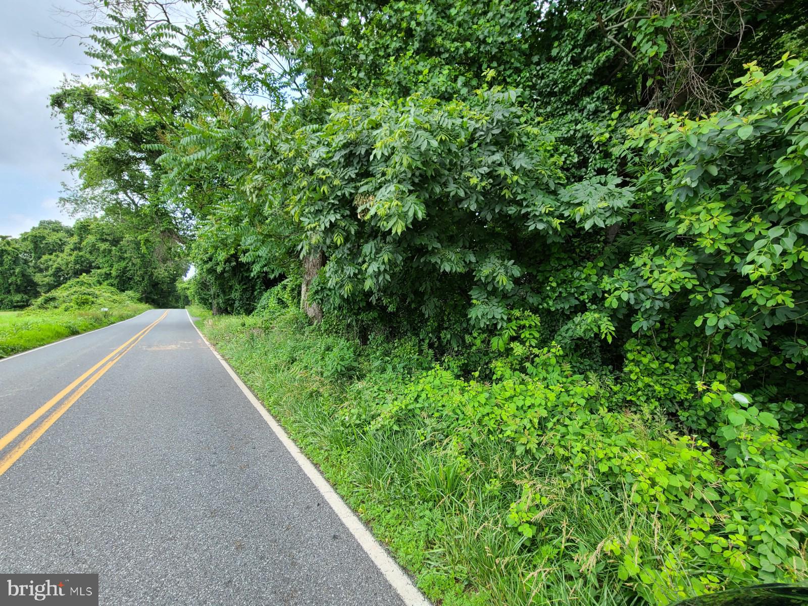 St Marks Church Road Perryville, MD 21903 - Photo 2 of 6 Wooded lot