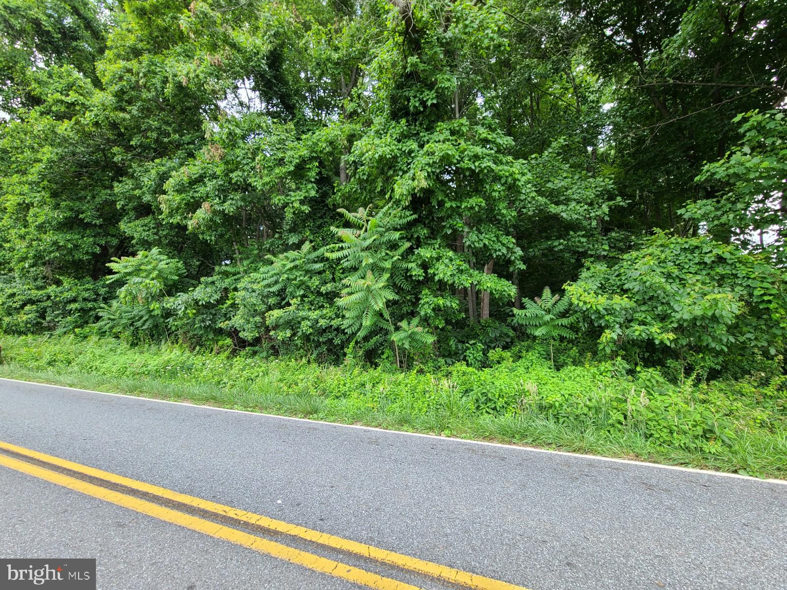 St Marks Church Road Perryville, MD 21903 - Photo 4 of 6 Gallery Image 4