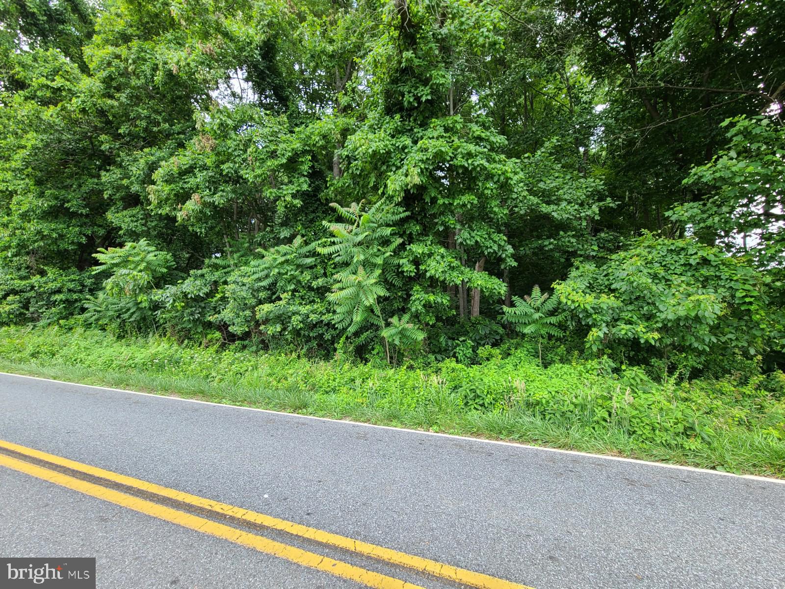 St Marks Church Road Perryville, MD 21903 - Photo 5 of 6 Gallery Image 5