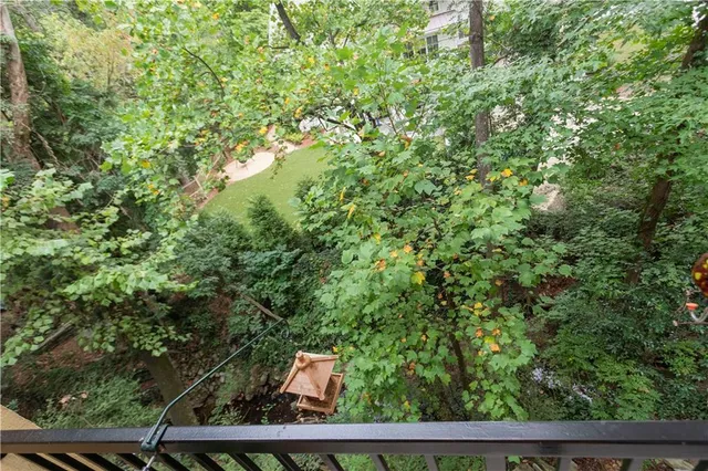 a view of a yard with plants