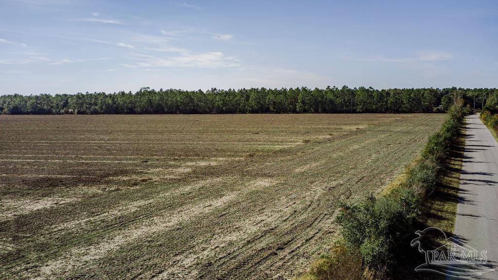 7 Segrest Road Pace, FL 32571 - Photo 4 of 6