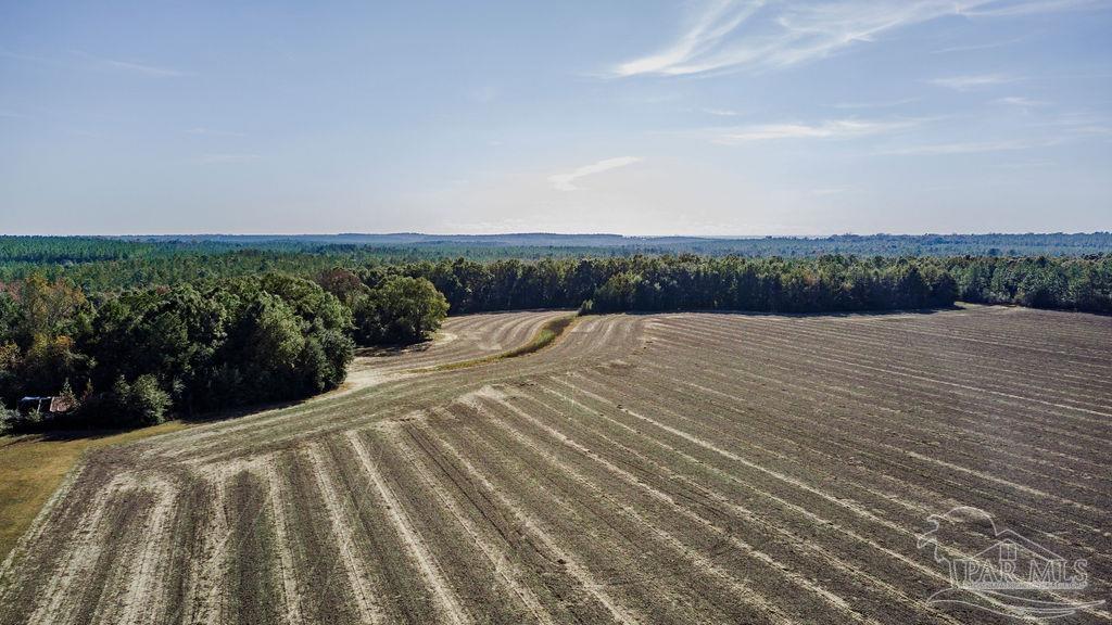 7 Segrest Road Pace, FL 32571 - Photo 6 of 6