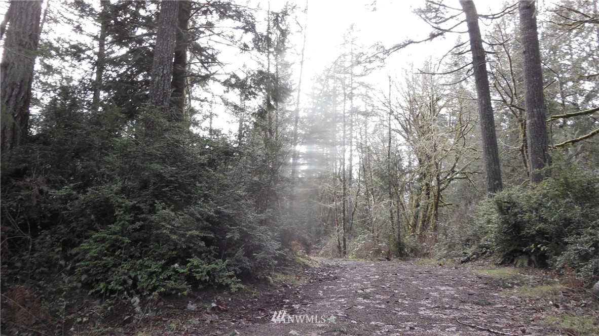 3416 Reeves Road Southwest Longbranch, WA 98349 - Photo 1 of 12 Gallery Image 1