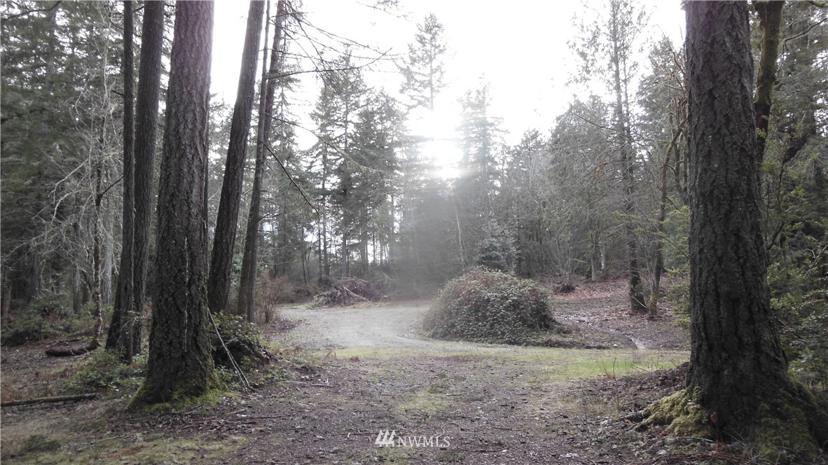 3416 Reeves Road Southwest Longbranch, WA 98349 - Photo 2 of 12 Gallery Image 2