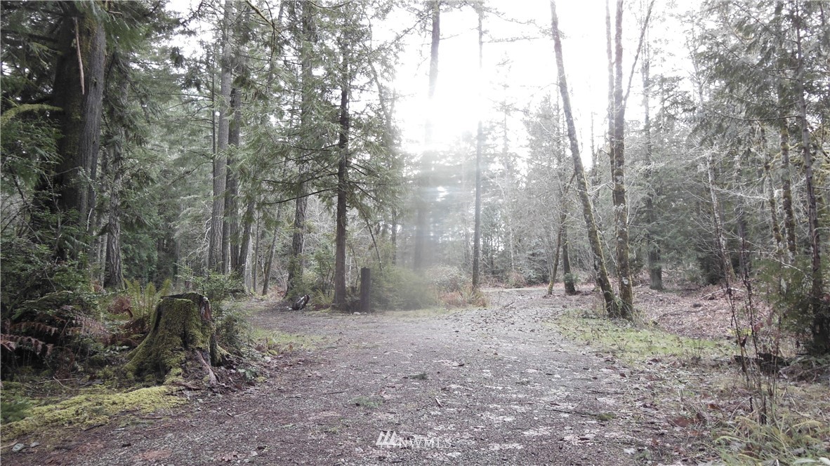 3416 Reeves Road Southwest Longbranch, WA 98349 - Photo 11 of 12 Gallery Image 11
