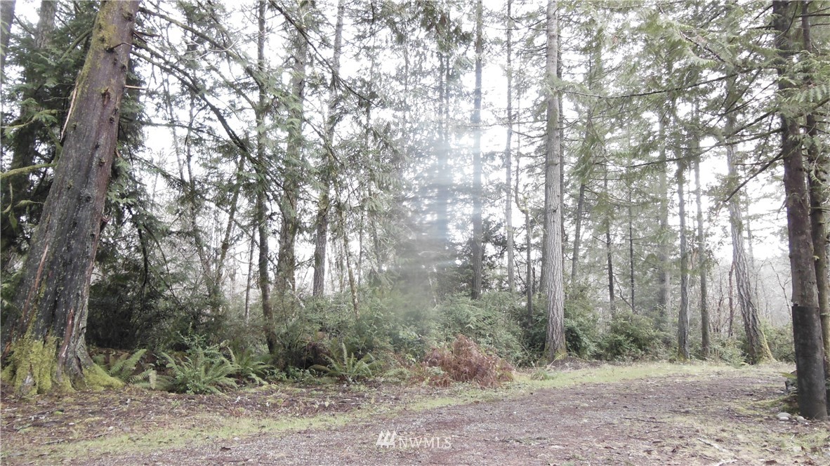 3416 Reeves Road Southwest Longbranch, WA 98349 - Photo 5 of 12 Gallery Image 5