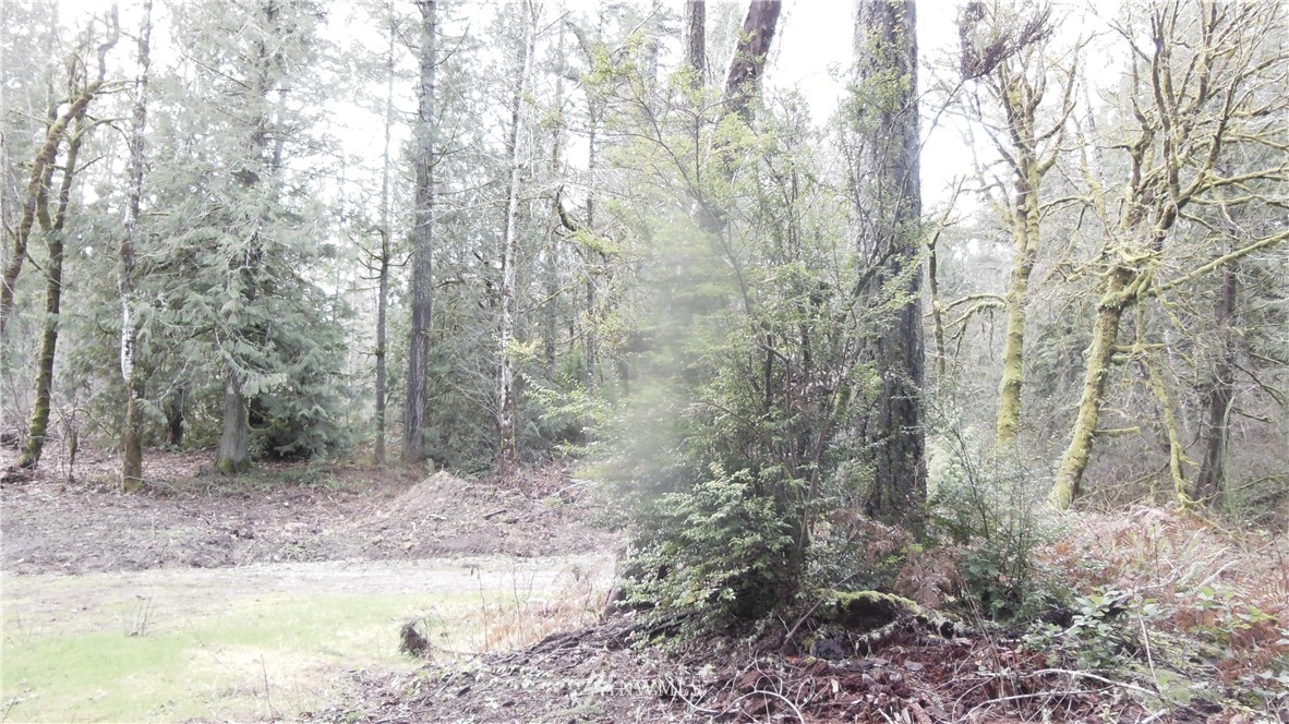 3416 Reeves Road Southwest Longbranch, WA 98349 - Photo 8 of 12 Gallery Image 8