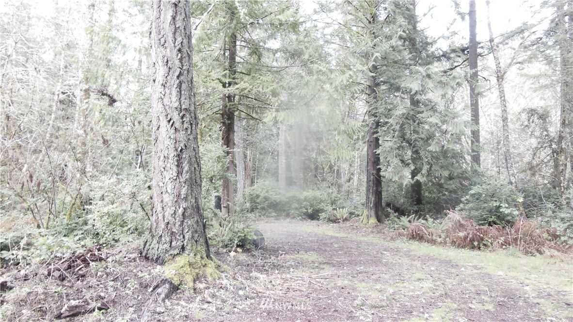3416 Reeves Road Southwest Longbranch, WA 98349 - Photo 9 of 12 Gallery Image 9