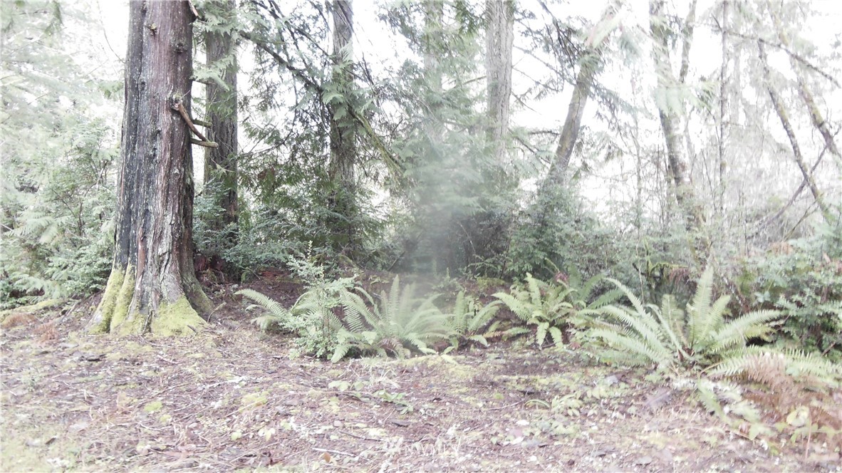 3416 Reeves Road Southwest Longbranch, WA 98349 - Photo 10 of 12 Gallery Image 10