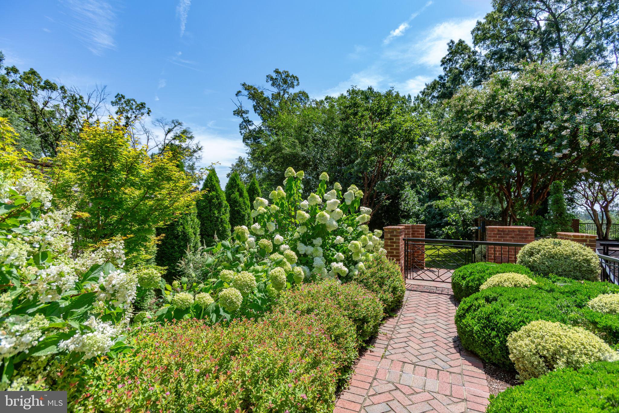 1711 Highland Road Fredericksburg, VA 22401 - Photo 20 of 145 a view of a garden with wooden benches